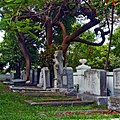 Jewish Section of Cemetery