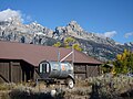 Ayıları yakalayıp güvenle doğaya salmak için tuzak, Wyoming, Grand Teton Ulusal Parkı