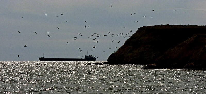 File:Berezan island.jpg