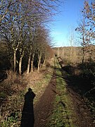 Bridleway to Holey Brookes - geograph.org.uk - 4827430.jpg