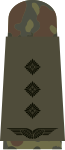 Hauptmann (uniforme da campagna)