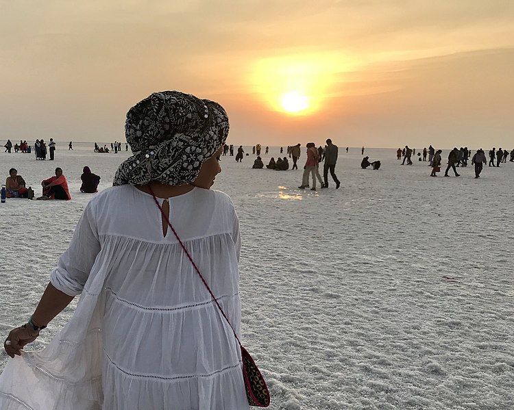 File:Sunset at the salt dessert at The great Rann of Kutch in Gujarati rejoin of India.jpg