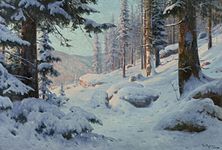 Snowy Forest Landscape