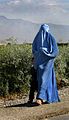 Afghansk kvinne med burka som skjuler heile kroppen og har eit gitter framfor auga.