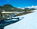 2001. Sommerspang over Rossdøla mellem Geiteryggen og Stemberdalen. Bolhovd i Baggrunden. Foto: Frode Inge Helland