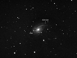 NGC 772と2つの超新星（SN 2003 hlとSN 2003 iq）とダール (小惑星)