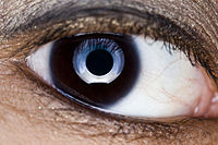 A closeup image of an eye showing reflected ring flash, a common effect in fashion photography