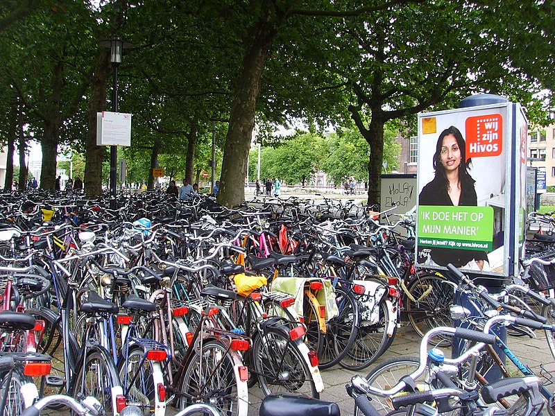 File:FietsenSmakkelaarsveld2008.jpg