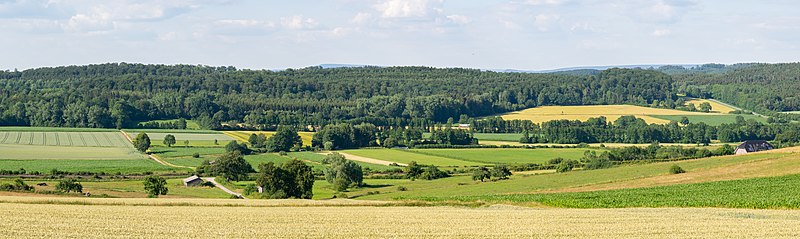 File:Bad Driburg - 2018-06-27 - bei Reelsen (13)-Pano.jpg