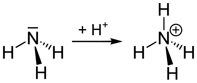 File:Bildung Ammonium.svg