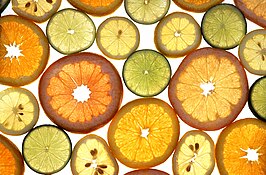 Citrus (geslacht)