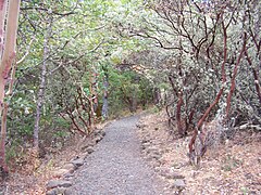 The Lower Table Rock Trail