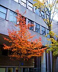 University offices in Wellington Square