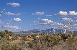 Grasslands and shrubs in the foreground beneath a deep blue sky with mountains in the distance