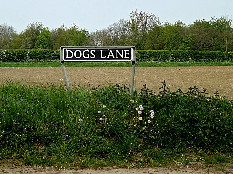 File:Dogs Lane sign - geograph.org.uk - 3952386.jpg