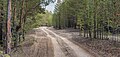 * Nomination: Dirt road through Yertis Ormany forest. Pavlodar Region, Kazakhstan. By User:Ivan ideia --Красный 08:32, 11 August 2024 (UTC) * Review Very good image. Could you please give a more precise location? --Augustgeyler 09:25, 11 August 2024 (UTC) Yertis Ormany forest is not so large, i don't think it is the legit concern to deny QI status to a photo. --Красный 15:37, 13 August 2024 (UTC) Of course this is part of the QI guidelines. Nominations should be described properly, including details about the location. It can be a geocode or just a clear description. You could say, what path this is here, in which part of the forest. Or simply give a geocode. The guidelines say: "It is recommended to geocode images [...]. If the location is difficult to obtain (eg. in the wilderness areas), you may have the choice of giving the general location (to 3 decimal places or fewer, as appropriate) [...]. or [mentioning] nearby geographical feature [...]." --Augustgeyler 18:51, 14 August 2024 (UTC)