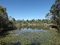 * Nomination: Photo of a billabong at Berrinba Wetlands, Berrinba, Logan City, Queensland, Australia. By User:Shiftchange --Gnangarra 08:40, 4 September 2014 (UTC) * * Review needed