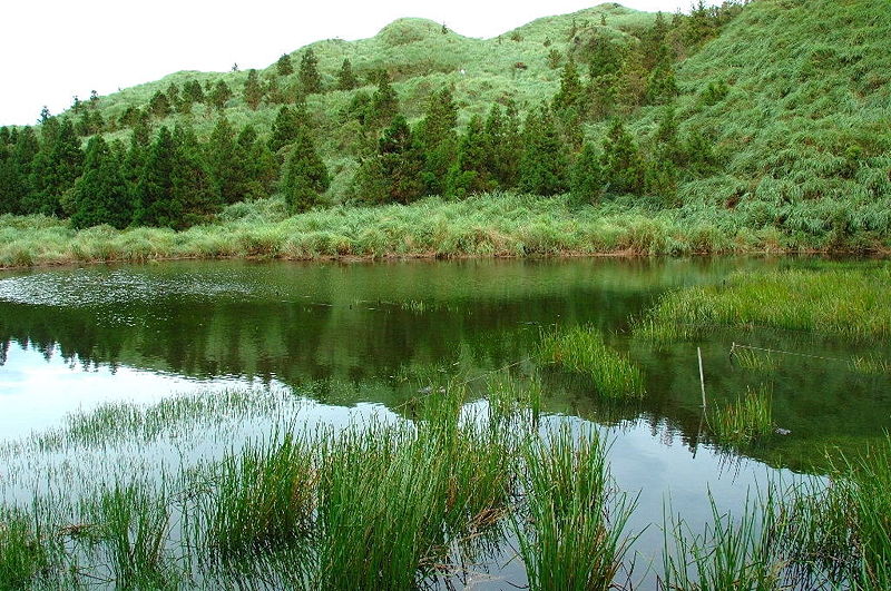 File:Dream lake1.jpg