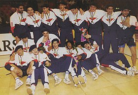 Équipe de France masculine de handball au Championnat du monde 1993