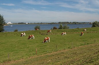 bij Eiland van Maurik, panorama