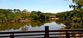 View of Japanese Tea House across lake