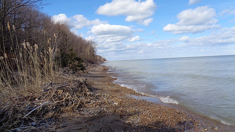 File:Lakeport State Park (March 2019).jpg