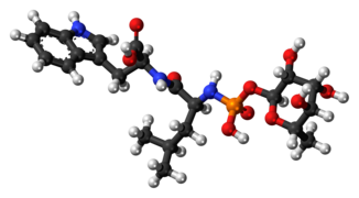 Phosphoramidon-3D-balls.png