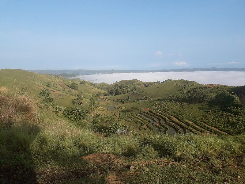 File:Sea of Clouds Danao Bohol.jpg