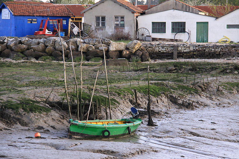 File:Une barque d' ostréiculteur échouée à marée basse.JPG