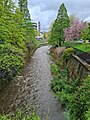 The Water of Leith after heavy rain. October 2021