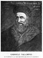 Gabriele Falloppio (1523–1562)