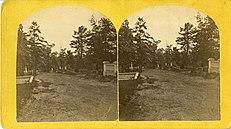 Central Avenue from gate, circa 1877