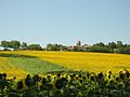 Vue sur le village en été