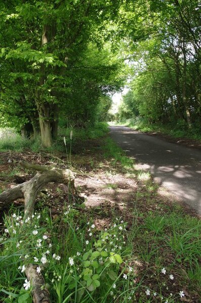 File:Mill Lane - geograph.org.uk - 4476765.jpg