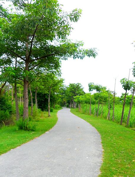 File:An example of rural roads.jpg