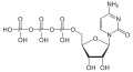 Cytidintriphosphat (CTP)