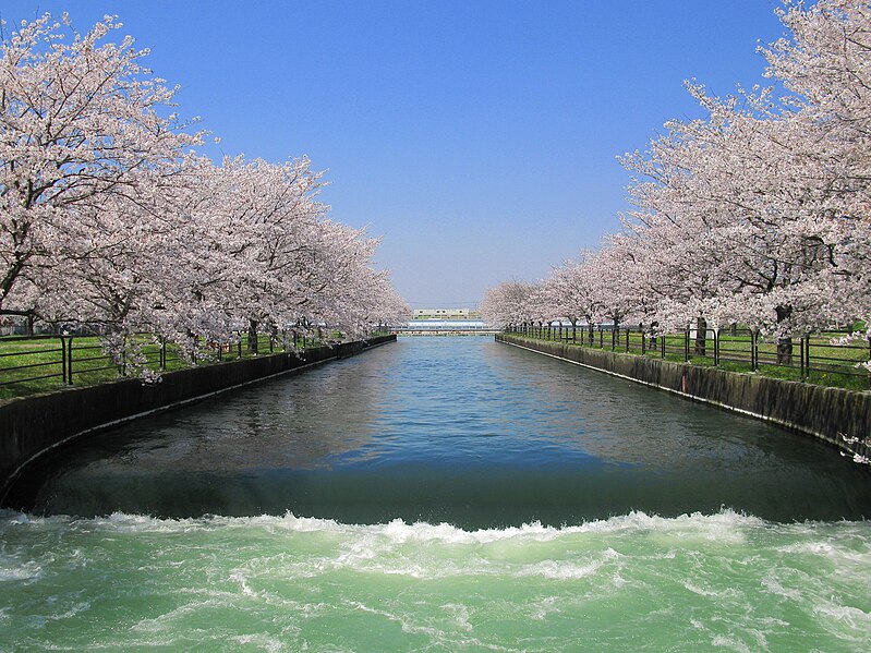 File:Gyoda Musashi Waterway Uppermost 1.JPG