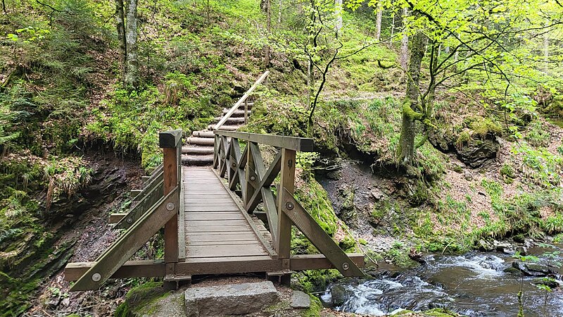 File:Landappbw 968031 1823 eine der Brücken in der Ravennaschlucht Breitnau.jpg