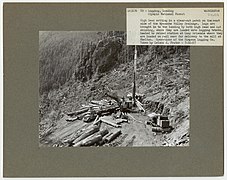 Logging- Loading Logs - Washington - DPLA - bbaf649897e1be5de16f9f3f78eea792.jpg