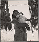 Portrait of a Mexican-American child. Imperial Valley, California.jpg