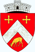 Wappen von Lăpușnicu Mare