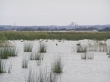 Reedy Lake 04.jpg