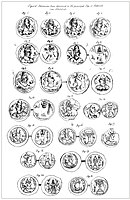 Alchon Hun, Sassanian and Kidarite coins from Tapa Kalan (Hadda 10)