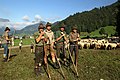 Image 23Herding sheep in Austria (from Alps)