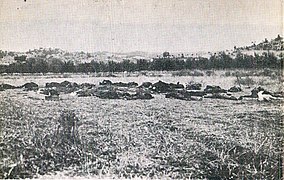 Massacre of 40 Macedonians in Berovo-1944.jpg