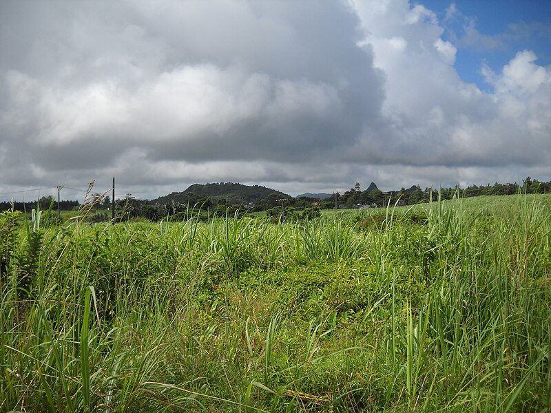 File:Mauritius landscape DSCN0083 (4440974850).jpg