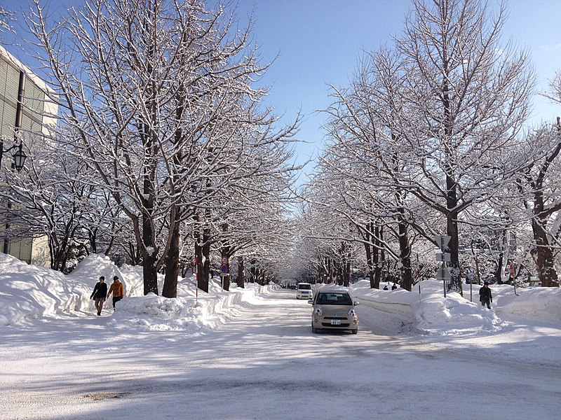 File:Hokkaido University in Winter - panoramio.jpg