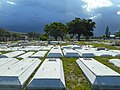 View of concrete caskets (towards the west, from rear main entrance)