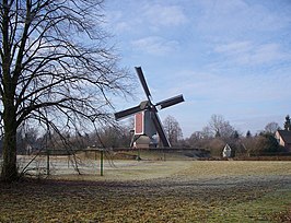 De Oostenwind (2009)