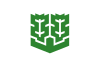 松山市旗